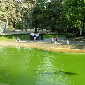 General View at Berlin Zoo, 31/08/11