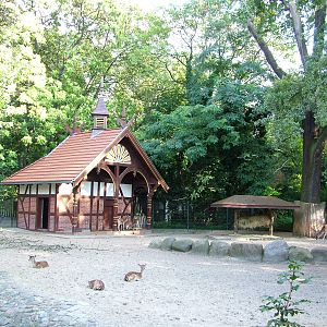 Deer Paddock at Berlin Zoo, 31/08/11