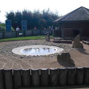Tortoise Enclosure - 01/10/2011