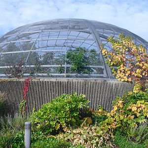 Amazonia Exterior - 01/10/2011