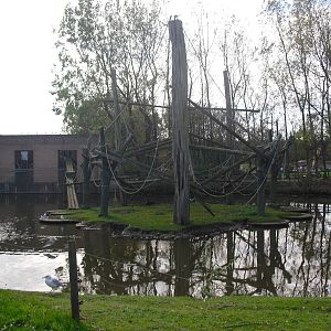 Monkey Island - 01/10/2011