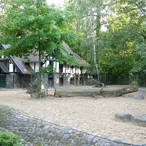 Deer Paddock at Berlin Zoo, 31/08/11