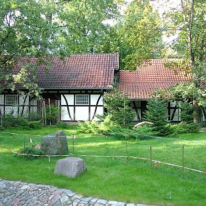 Deer Paddock at Berlin Zoo, 31/08/11