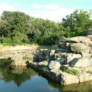 Polar Bear Exhibit at Berlin Zoo, 31/08/11
