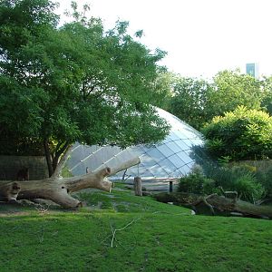 Hippo and Nyala Paddock at Berlin Zoo, 31/08/11