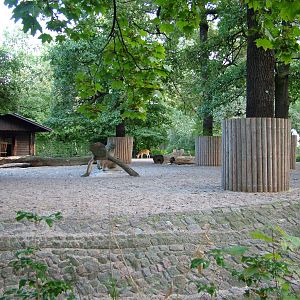 Deer Paddock at Berlin Zoo, 31/08/11