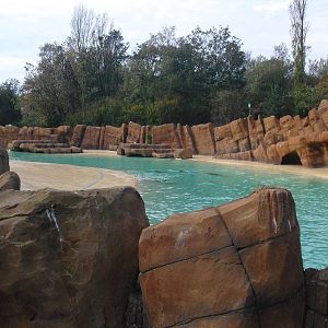 Sea Lion Pool - 01/10/2011