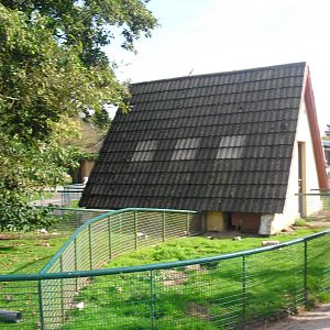 Guinea Pig House and Pens - 01/10/2011
