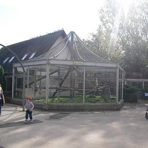 King Colobus Outdoor Enclosure (?) - 01/10/2011