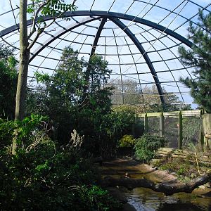 Amazonia - 01/10/2011