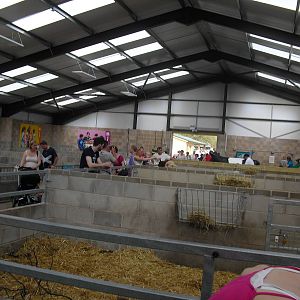 Childrens Farm - 01/10/2011