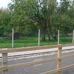 Sitatunga Enclosure - 01/10/2011