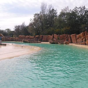 Sea Lion Pool - 01/10/2011