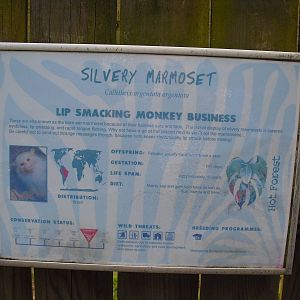 Example Signage (Silvery Marmoset) - 01/10/2011