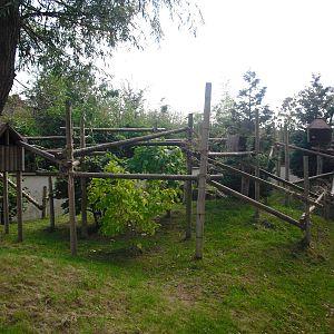 Red Panda Enclosure - 01/10/2011