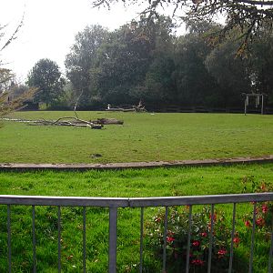 Reindeer Paddock - 01/10/2011