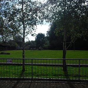 Reindeer Paddock - 01/10/2011