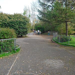 Zoo Path - 01/10/2011