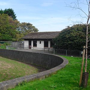 Zebra/Bongo House - 01/10/2011