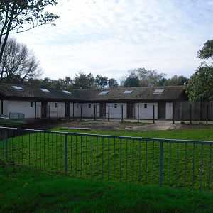 Bongo House - 01/10/2011