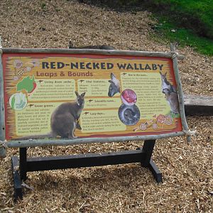 Red-necked Wallaby Signage - 01/10/2011