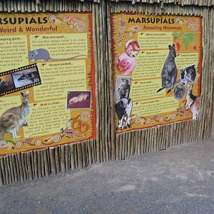 Marsupial Signage - 01/10/2011