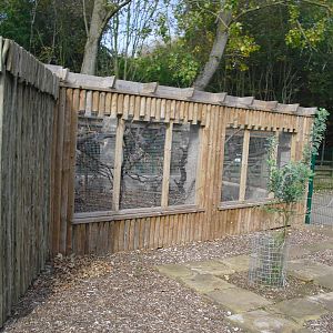 Australian Aviary - 01/10/2011