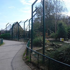 Spoonbill Aviary (?) - 01/10/2011