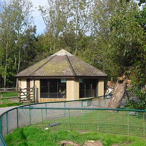 Lorikeet Building (?) - 01/10/2011