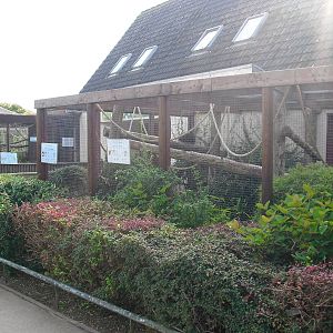 Coppery Titi Enclosure - 01/10/2011