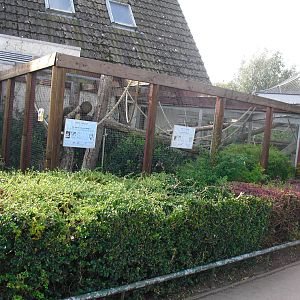 Coppery Titi Enclosure - 01/10/2011