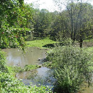 The Bird Park - August 2011