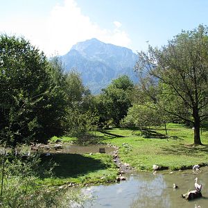 The Bird Park - August 2011