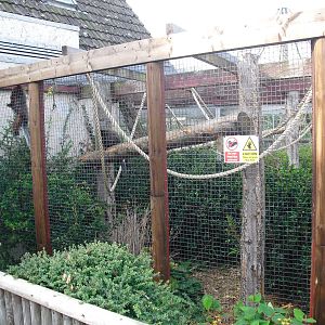 Coppery Titi Enclosure - 01/10/2011