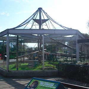 Primate Enclosure - 01/10/2011