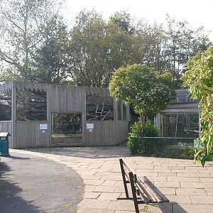 Roseate Cockatoo/Long-nosed Potoroo Exhibit - 01/10/2011