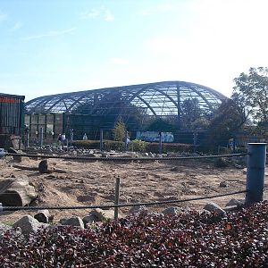 Outside View of Amazonia - 01/10/2011