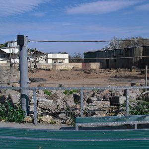 Asian Elephant Outdoor Enclosure - 01/10/2011