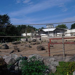 Asian Elephant Outdoor Enclosure - 01/10/2011