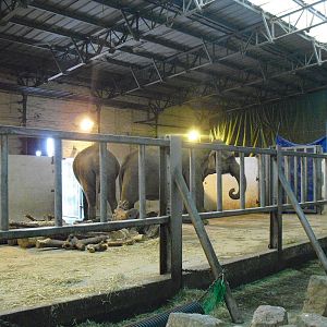 Elephant House - 01/10/2011