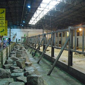 Elephant House - 01/10/2011