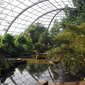 View of Amazonia - 01/10/2011