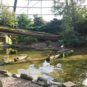 View of Amazonia - 01/10/2011