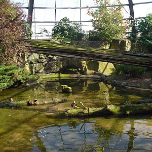 View of Amazonia - 01/10/2011