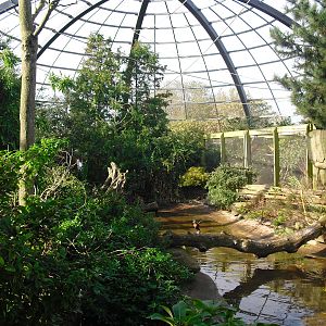 View of Amazonia - 01/10/2011