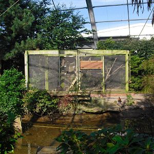 View of Amazonia - 01/10/2011