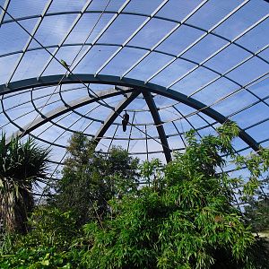 View of Amazonia - 01/10/2011