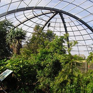 View of Amazonia - 01/10/2011