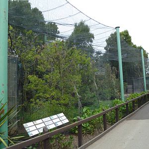 African Aviary