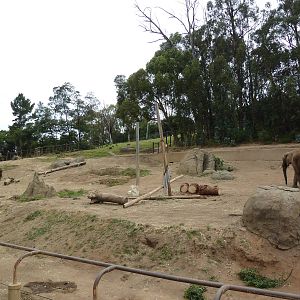 6-Acre African Elephant Exhibit